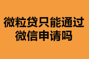 微粒贷只能通过微信申请吗？并不是（其他渠道也可以申请）