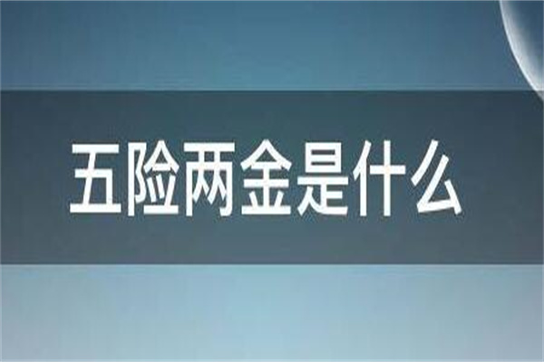 五险二金指什么?五项社会保险和两项住房公积金(有一定保障)