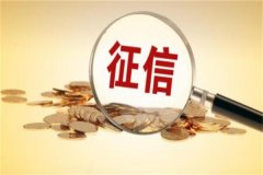 个人征信怎么查?线上或线下都可以查询(可能收取一定费用)