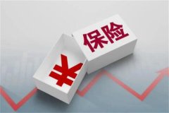 华泰保险是什么?一家保险公司(经营多种险种业务)