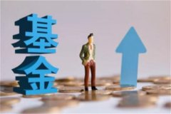 公募基金什么意思?基金公司向公众募集资金(众多投资者组成)