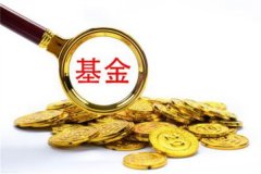 什么是基金?投资者共同投资各种金融工具(一种投资工具)