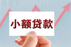 怎样申请小额贷款?五个步骤完成(根据个人情况申请)