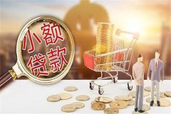 小额贷款怎么申请?了解贷款类型(准备个人资料)