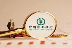 农行基金定投哪个好?先考虑个人投资需求(可进行咨询)