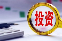 如何构建投资组合?不同类别中选择合适品种(有效实现投资目标)