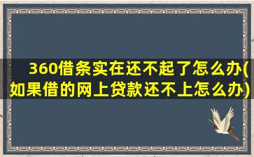 360借条实在还不起了怎么办(如果借的网上贷款还不上怎么办)