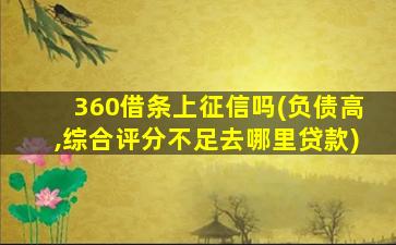 360借条上征信吗(负债高,综合评分不足去哪里贷款)