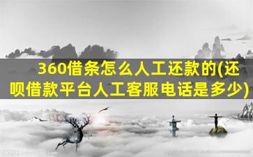 360借条怎么人工还款的(还呗借款平台人工客服电话是多少)