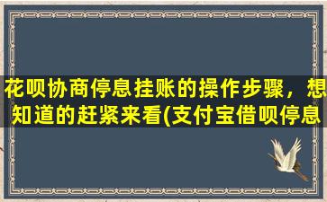 花呗协商停息挂账的操作步骤，想知道的赶紧来看(支付宝借呗停息挂账可以吗)