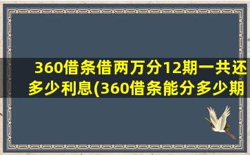 360借条借两万分12期一共还多少利息(360借条能分多少期)