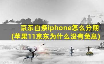 京东白条iphone怎么分期(苹果11京东为什么没有免息)