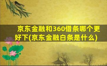 京东金融和360借条哪个更好下(京东金融白条是什么)