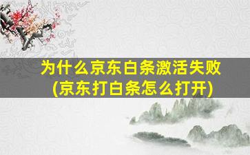 为什么京东白条激活失败(京东打白条怎么打开)