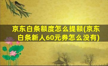 京东白条额度怎么提额(京东白条新人60元券怎么没有)