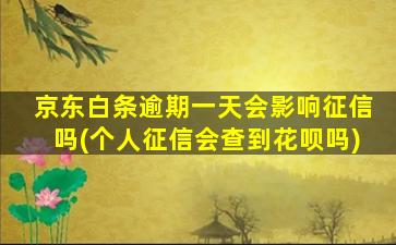 京东白条逾期一天会影响征信吗(个人征信会查到花呗吗)