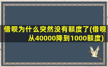 借呗为什么突然没有额度了(借呗从40000降到1000额度)