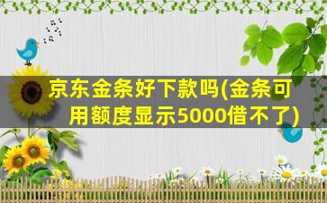 京东金条好下款吗(金条可用额度显示5000借不了)