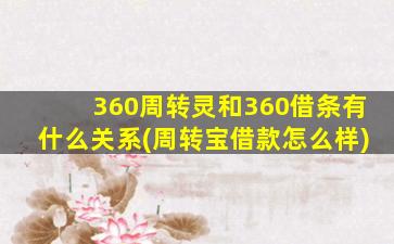 360周转灵和360借条有什么关系(周转宝借款怎么样)