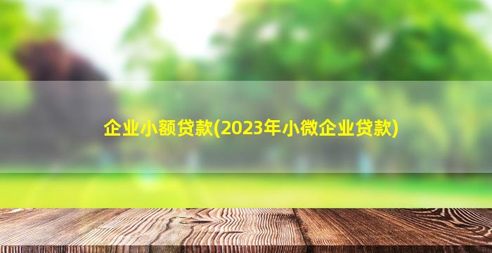 企业小额贷款(2023年小微企业贷款)