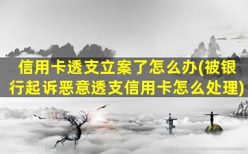 信用卡透支立案了怎么办(被银行起诉恶意透支信用卡怎么处理)