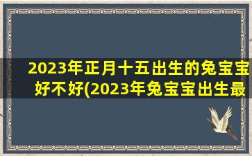 2023年正月十五出生的兔宝宝好不好(2023年兔宝宝出生最佳的农历月份)