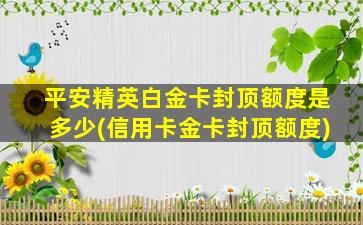 平安精英白金卡封顶额度是多少(信用卡金卡封顶额度)