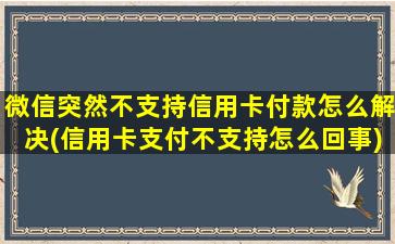 微信突然不支持信用卡付款怎么解决(信用卡支付不支持怎么回事)