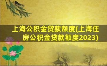 上海公积金贷款额度(上海住房公积金贷款额度2023)