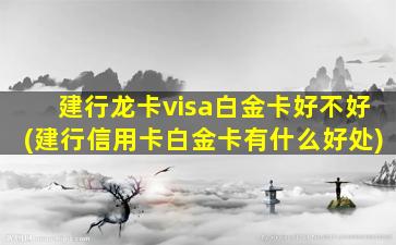 建行龙卡visa白金卡好不好(建行信用卡白金卡有什么好处)