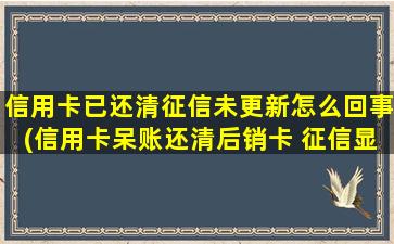 信用卡已还清征信未更新怎么回事(信用卡呆账还清后销卡 征信显示)