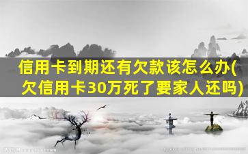 信用卡到期还有欠款该怎么办(欠信用卡30万死了要家人还吗)