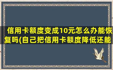 信用卡额度变成10元怎么办能恢复吗(自己把信用卡额度降低还能恢复吗)