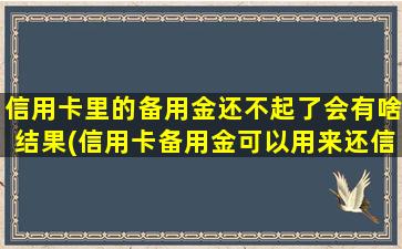 信用卡里的备用金还不起了会有啥结果(信用卡备用金可以用来还信用卡吗)