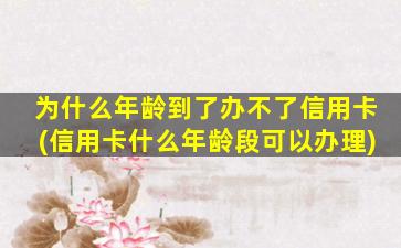 为什么年龄到了办不了信用卡(信用卡什么年龄段可以办理)