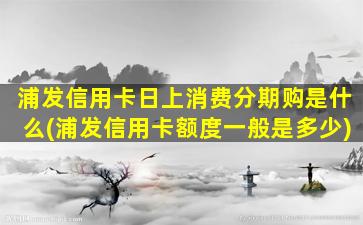 浦发信用卡日上消费分期购是什么(浦发信用卡额度一般是多少)