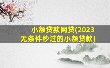 小额贷款网贷(2023无条件秒过的小额贷款)