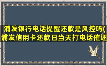 浦发银行电话提醒还款是风控吗(浦发信用卡还款日当天打电话催还款)