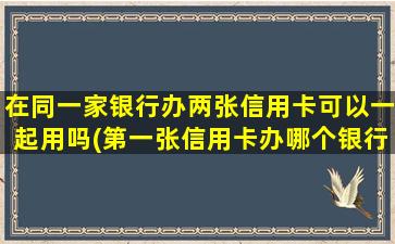 在同一家银行办两张信用卡可以一起用吗(第一张信用卡办哪个银行的好)