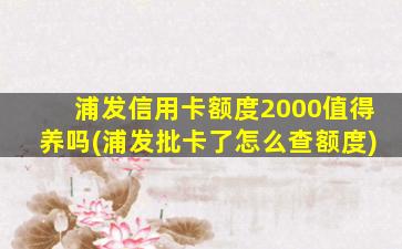 浦发信用卡额度2000值得养吗(浦发批卡了怎么查额度)