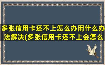 多张信用卡还不上怎么办用什么办法解决(多张信用卡还不上会怎么样)