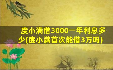 度小满借3000一年利息多少(度小满首次能借3万吗)