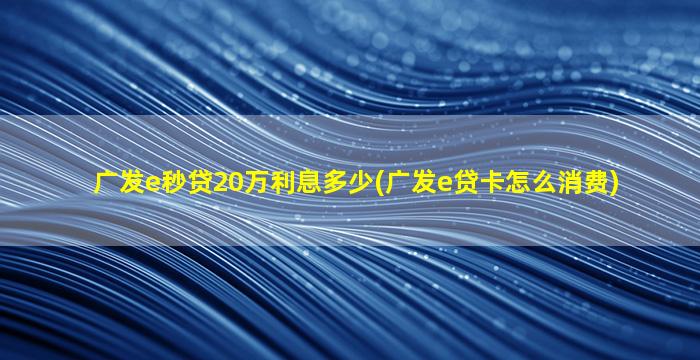 广发e秒贷20万利息多少(广发e贷卡怎么消费)