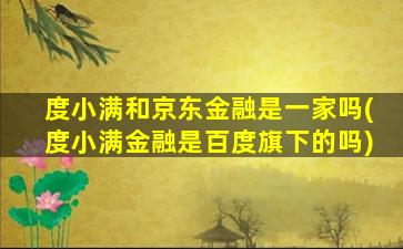 度小满和京东金融是一家吗(度小满金融是百度旗下的吗)