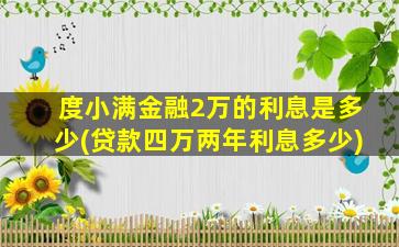 度小满金融2万的利息是多少(贷款四万两年利息多少)