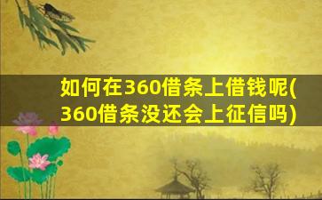 如何在360借条上借钱呢(360借条没还会上征信吗)