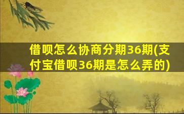 借呗怎么协商分期36期(支付宝借呗36期是怎么弄的)