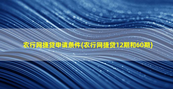 农行网捷贷申请条件(农行网捷贷12期和60期)