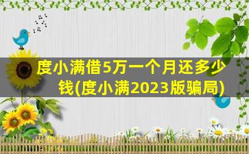 度小满借5万一个月还多少钱(度小满2023版骗局)