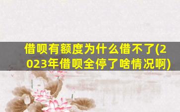 借呗有额度为什么借不了(2023年借呗全停了啥情况啊)